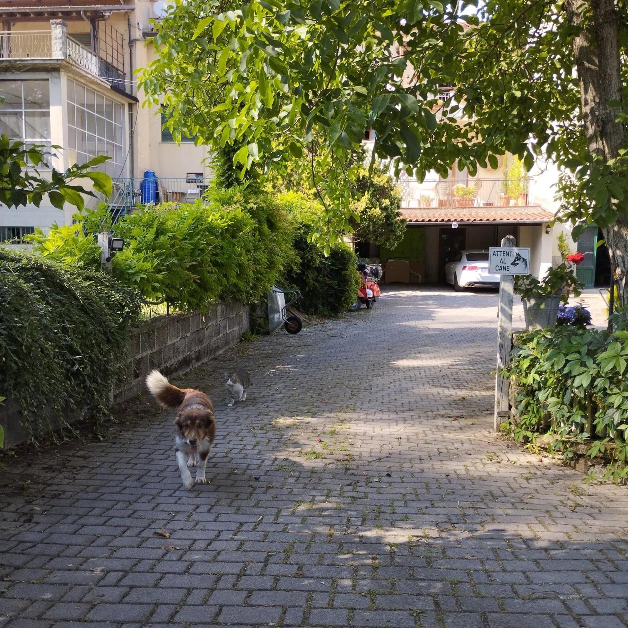 Casa Ugo Διαμέρισμα Poppi Εξωτερικό φωτογραφία